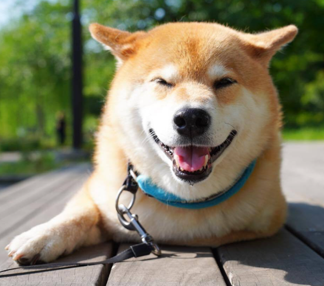 bb2fdcb4-b66b-435c-8477-1b05f6c6eaae.png bb2fdcb4-b66b-435c-8477-1b05f6c6eaae.png