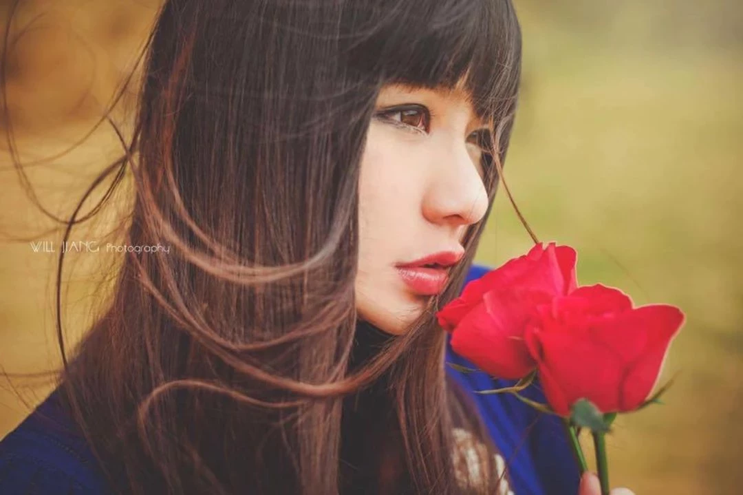 4103520.webp