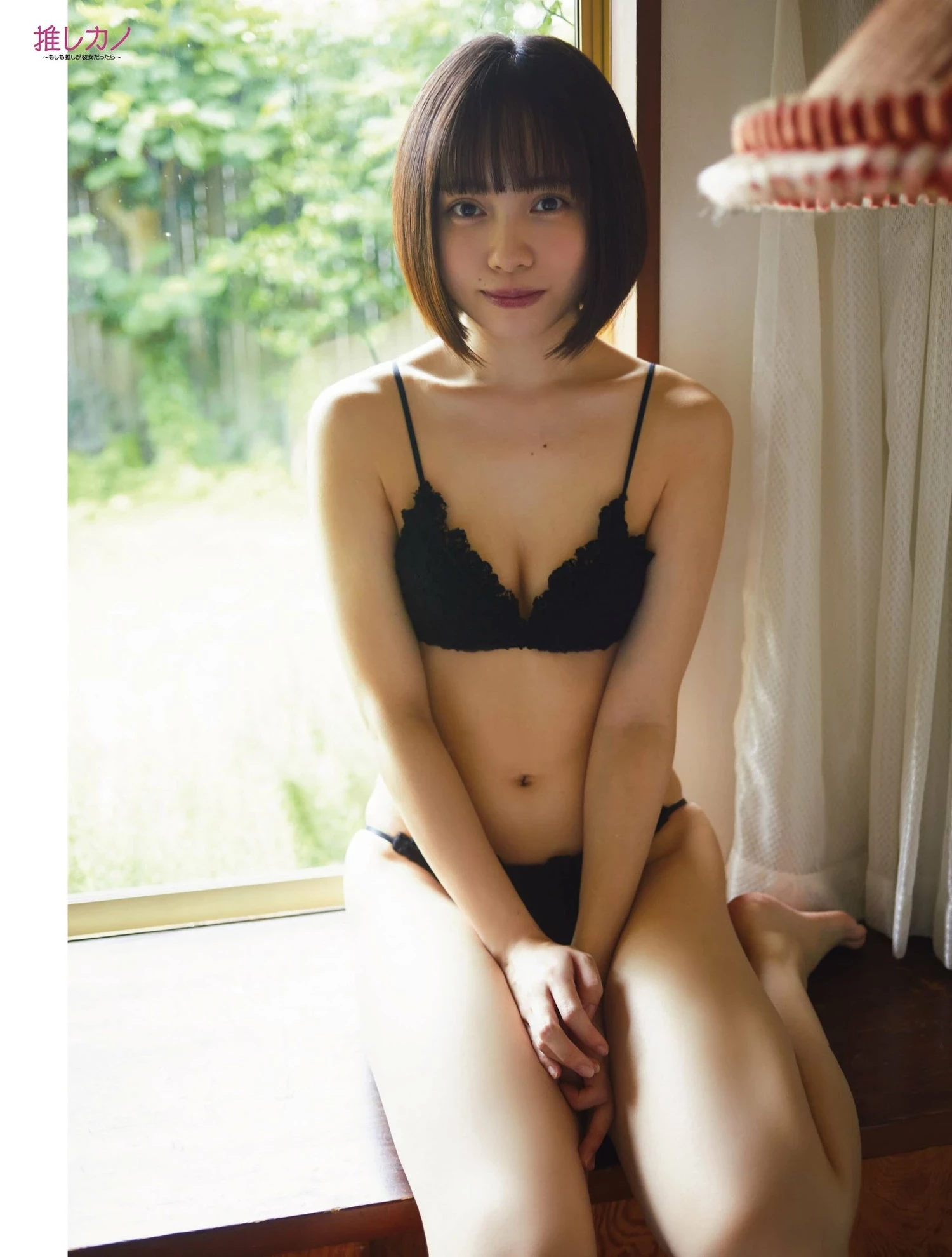 29146831.webp