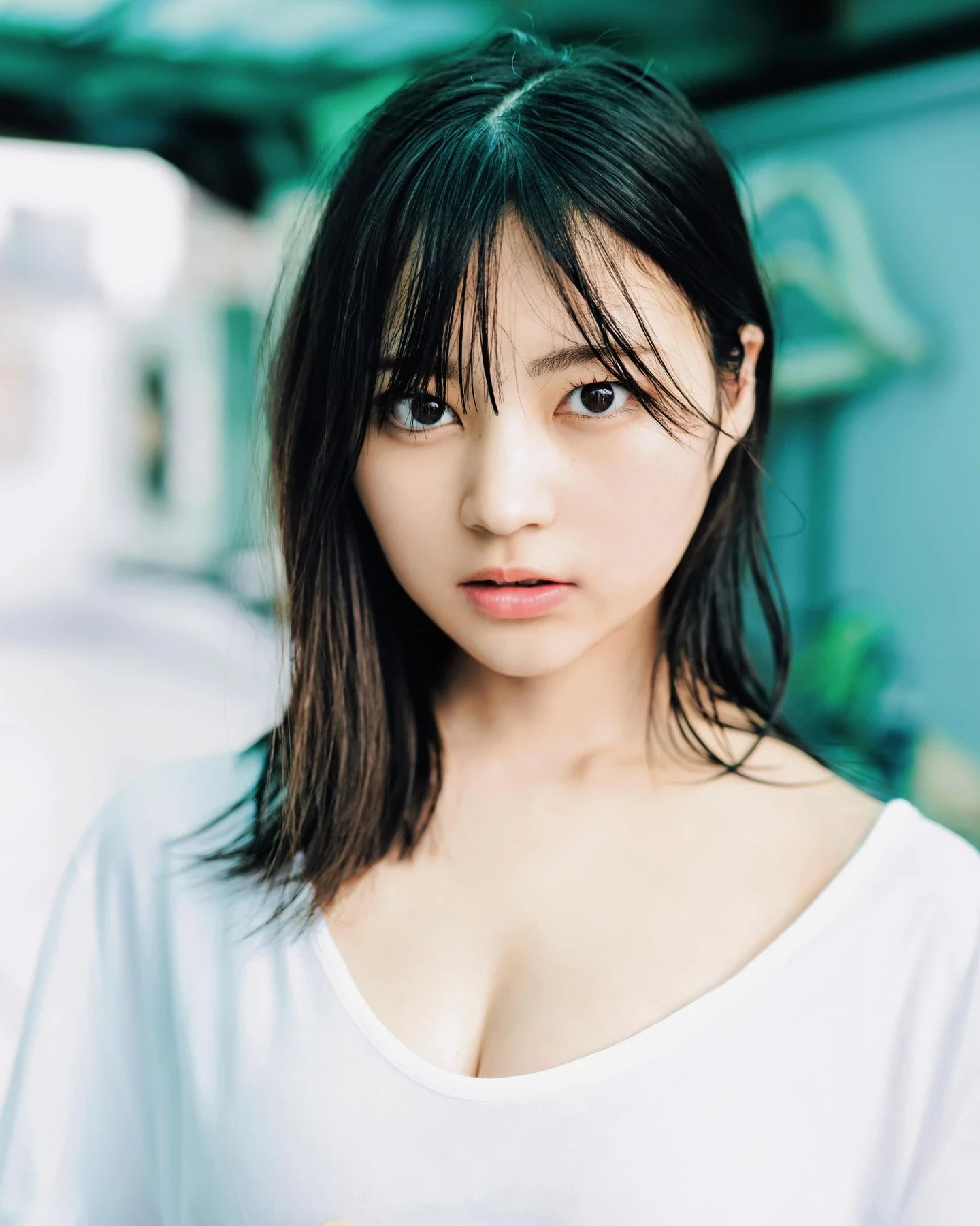 29113068.webp