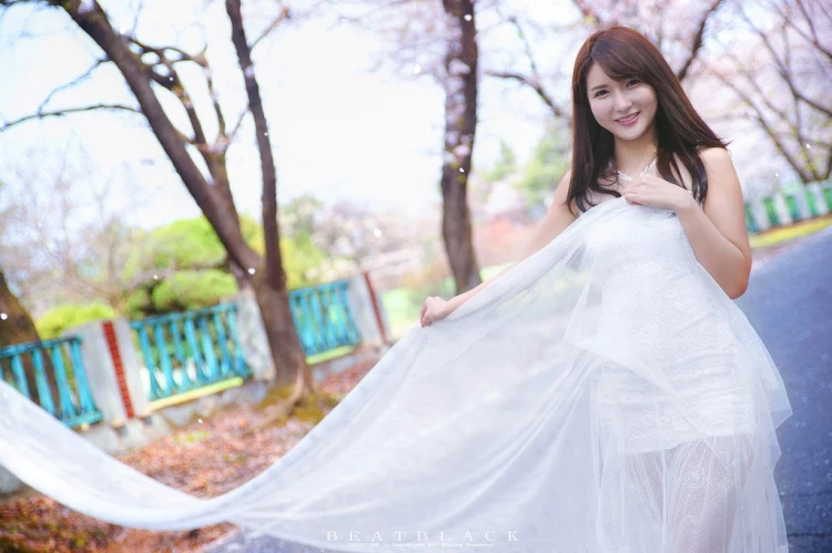 17166215.webp