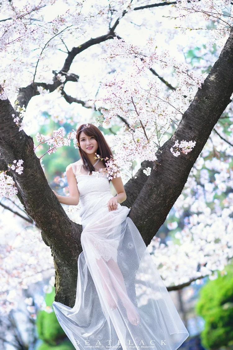 17166217.webp