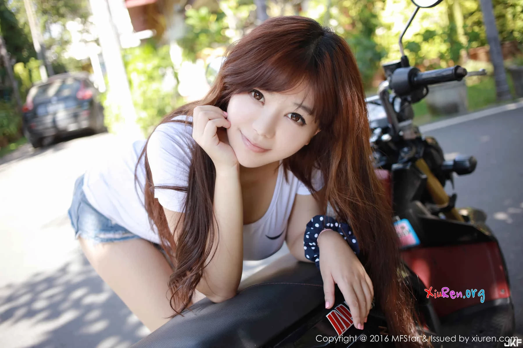 16883276.webp