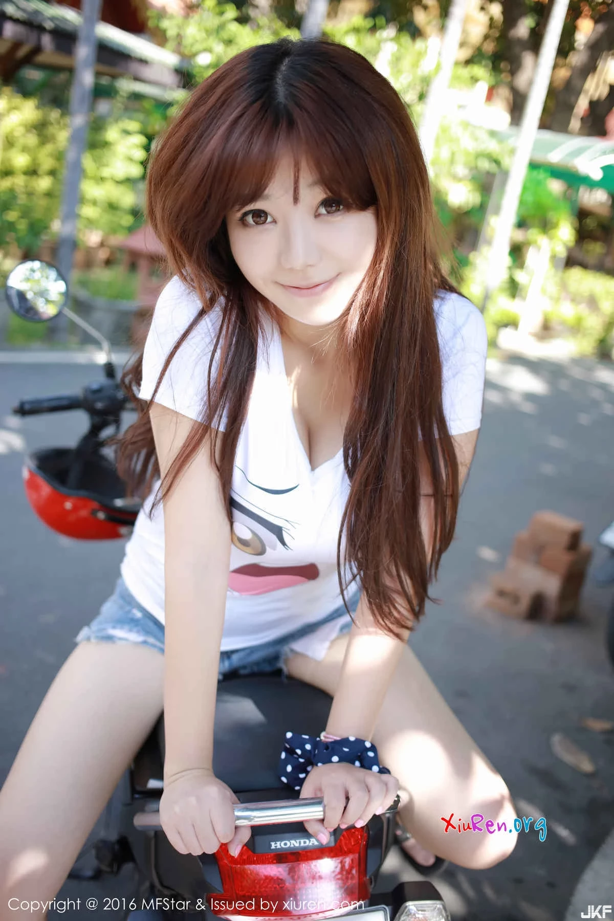 16883279.webp