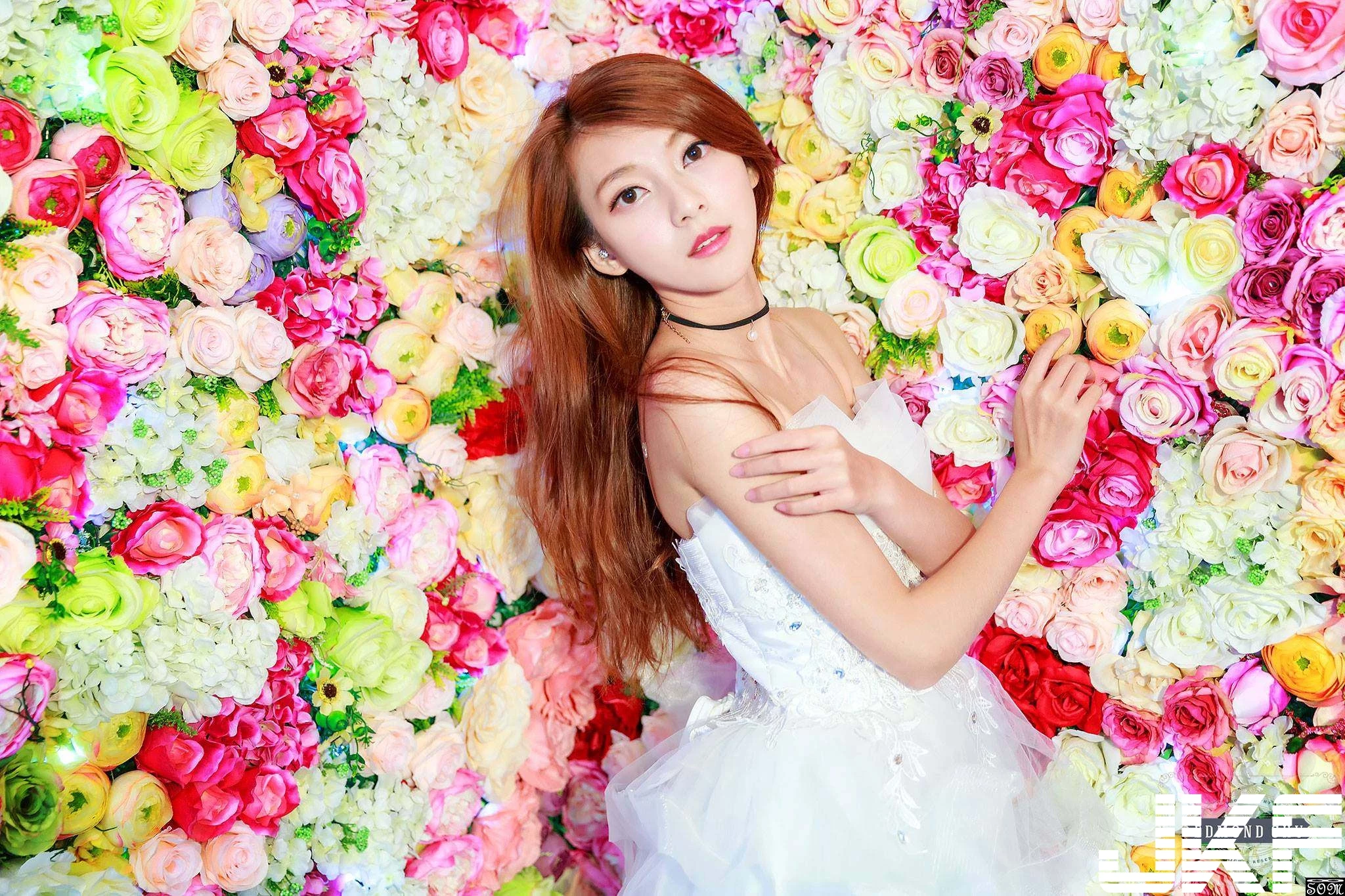 16793073.webp