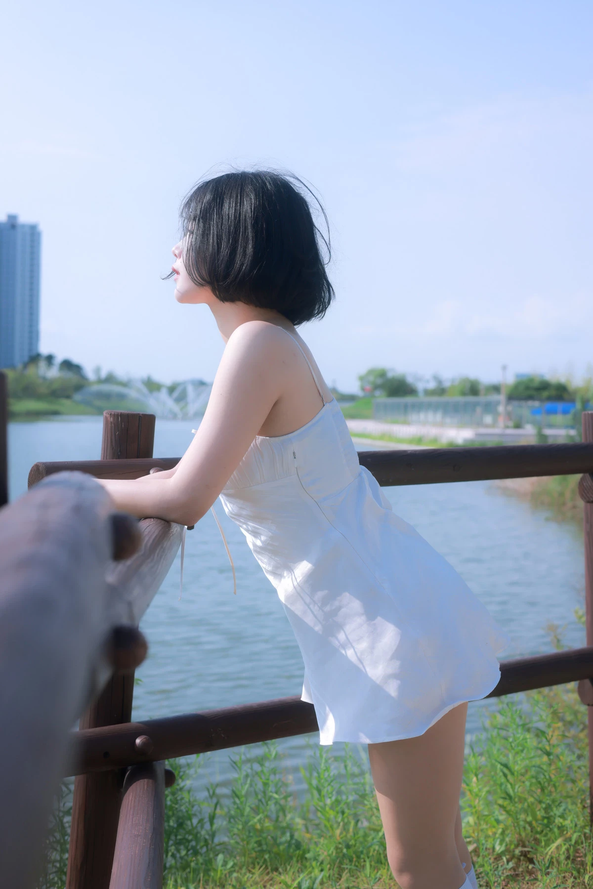 28692052.webp
