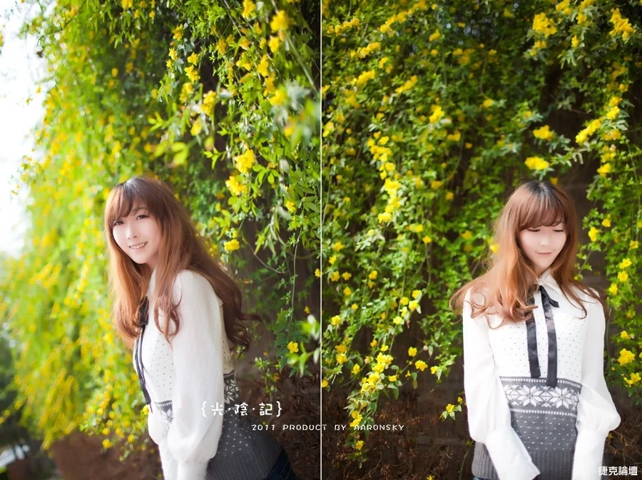 17702159.webp