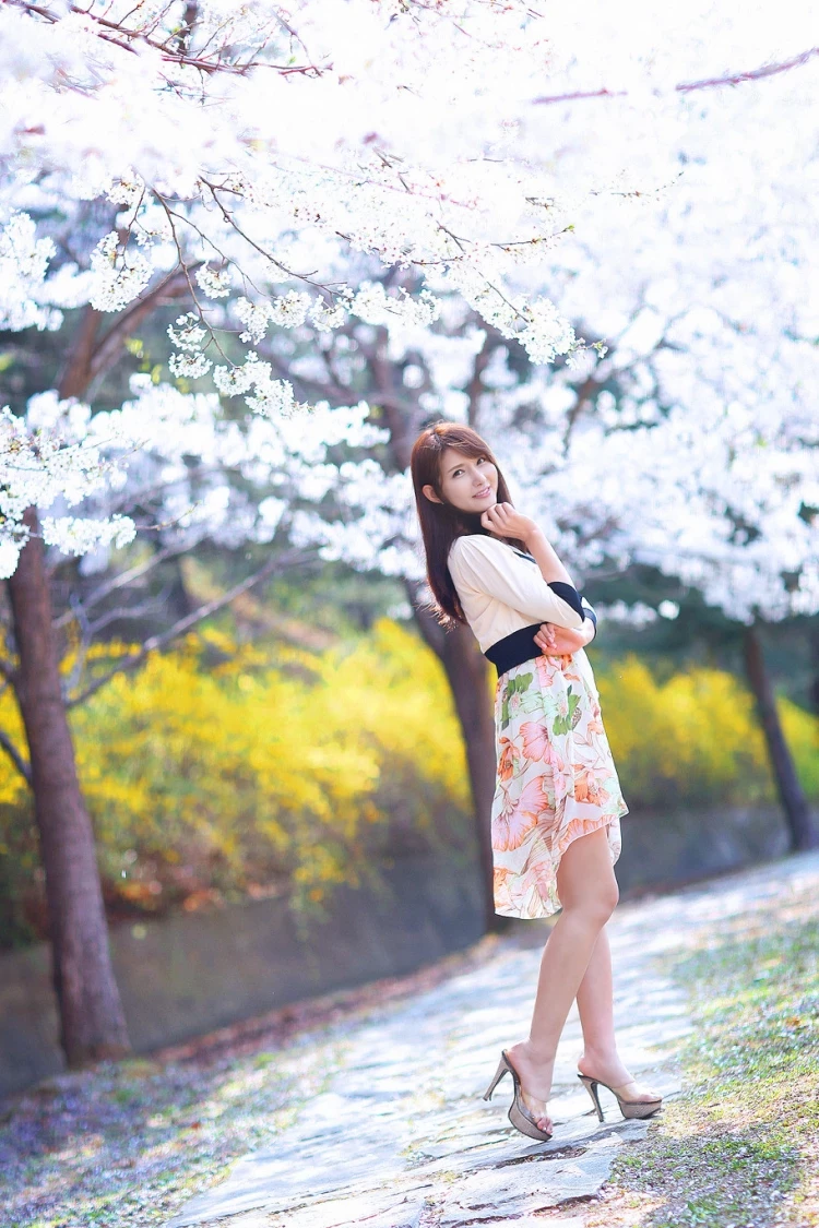 17166206.webp