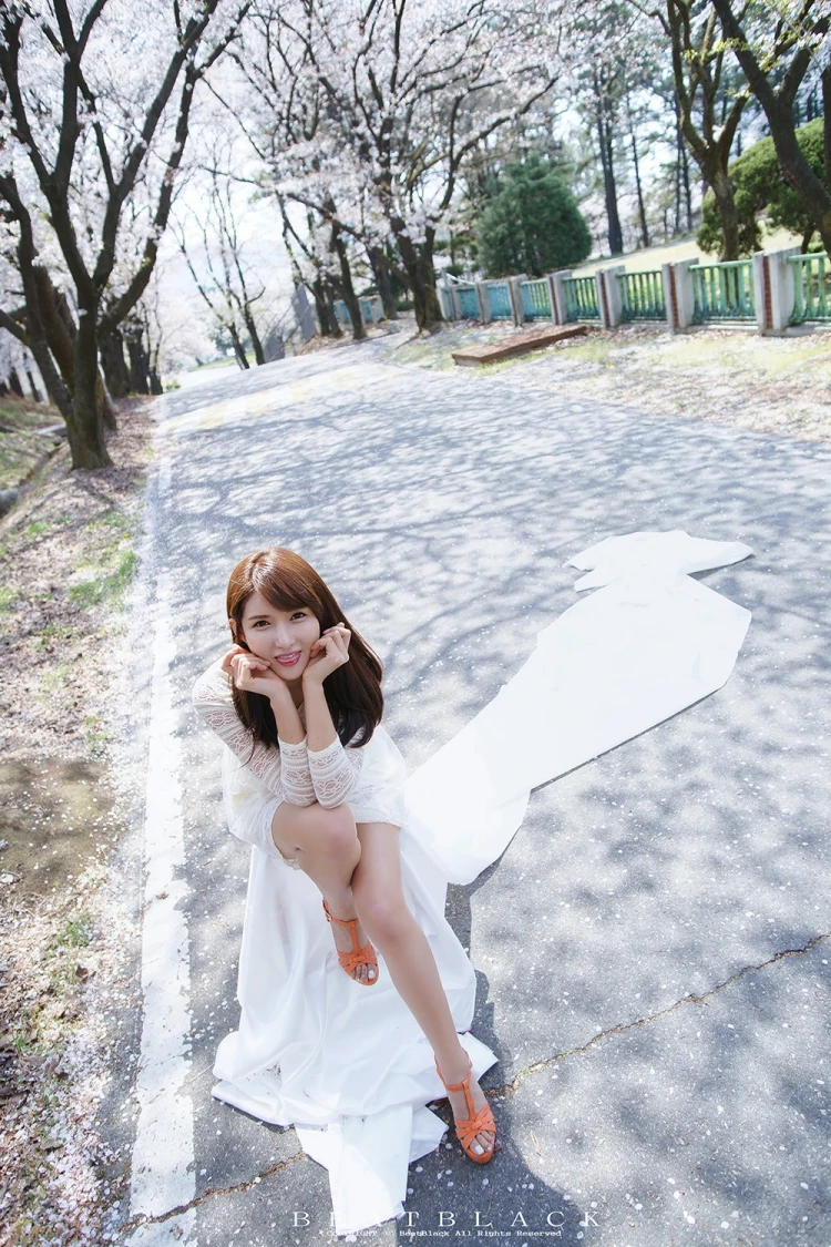 17166213.webp