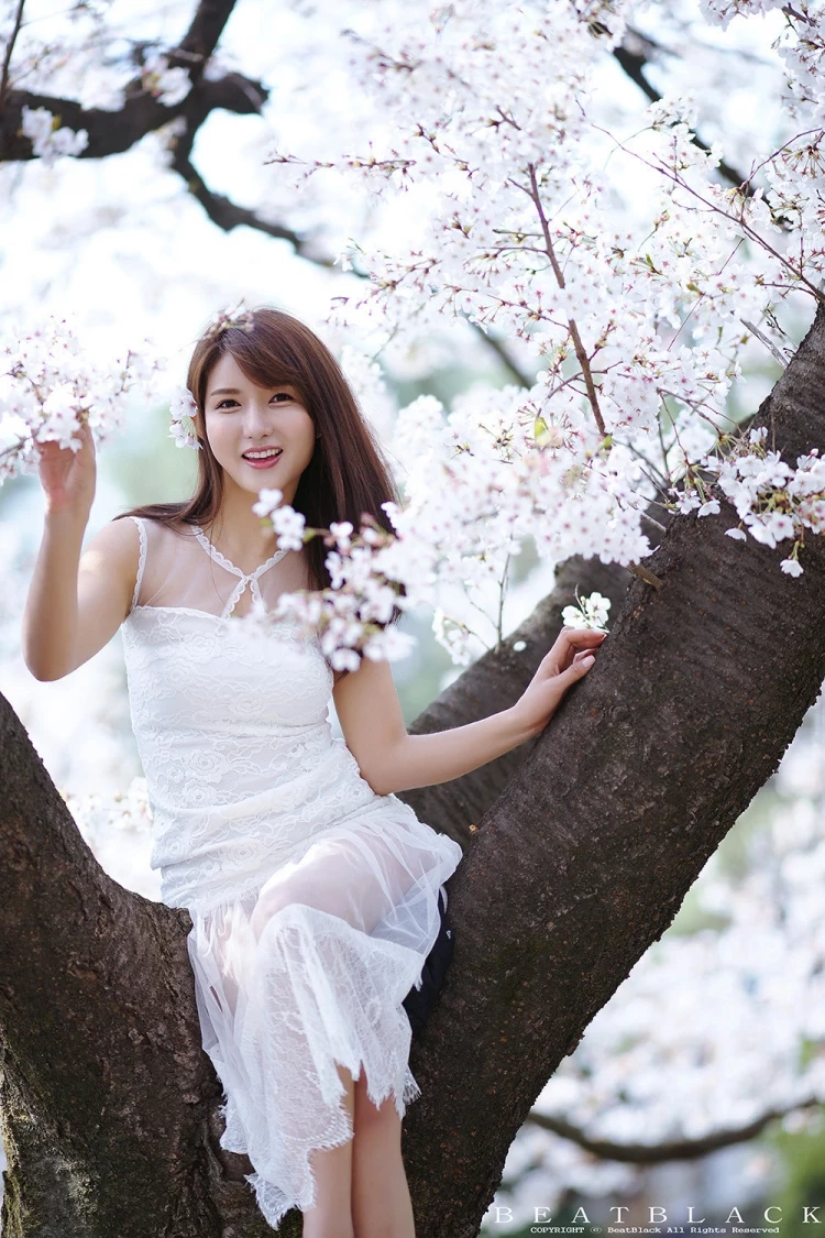 17166216.webp