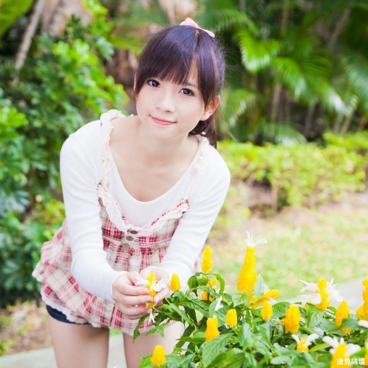 17355725.webp