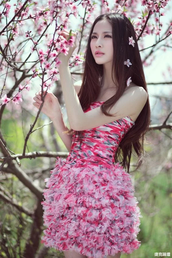 17350853.webp