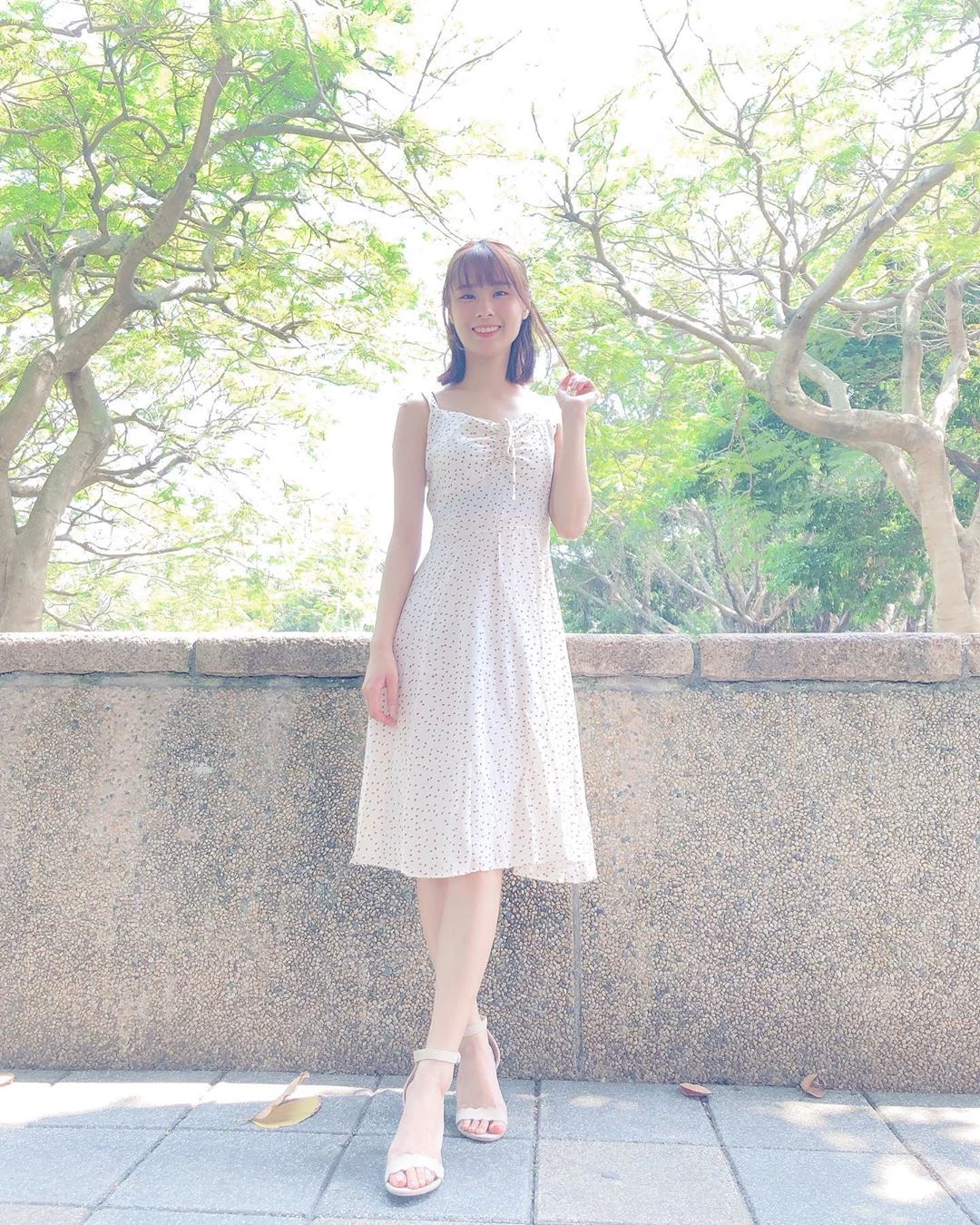 4031779.webp