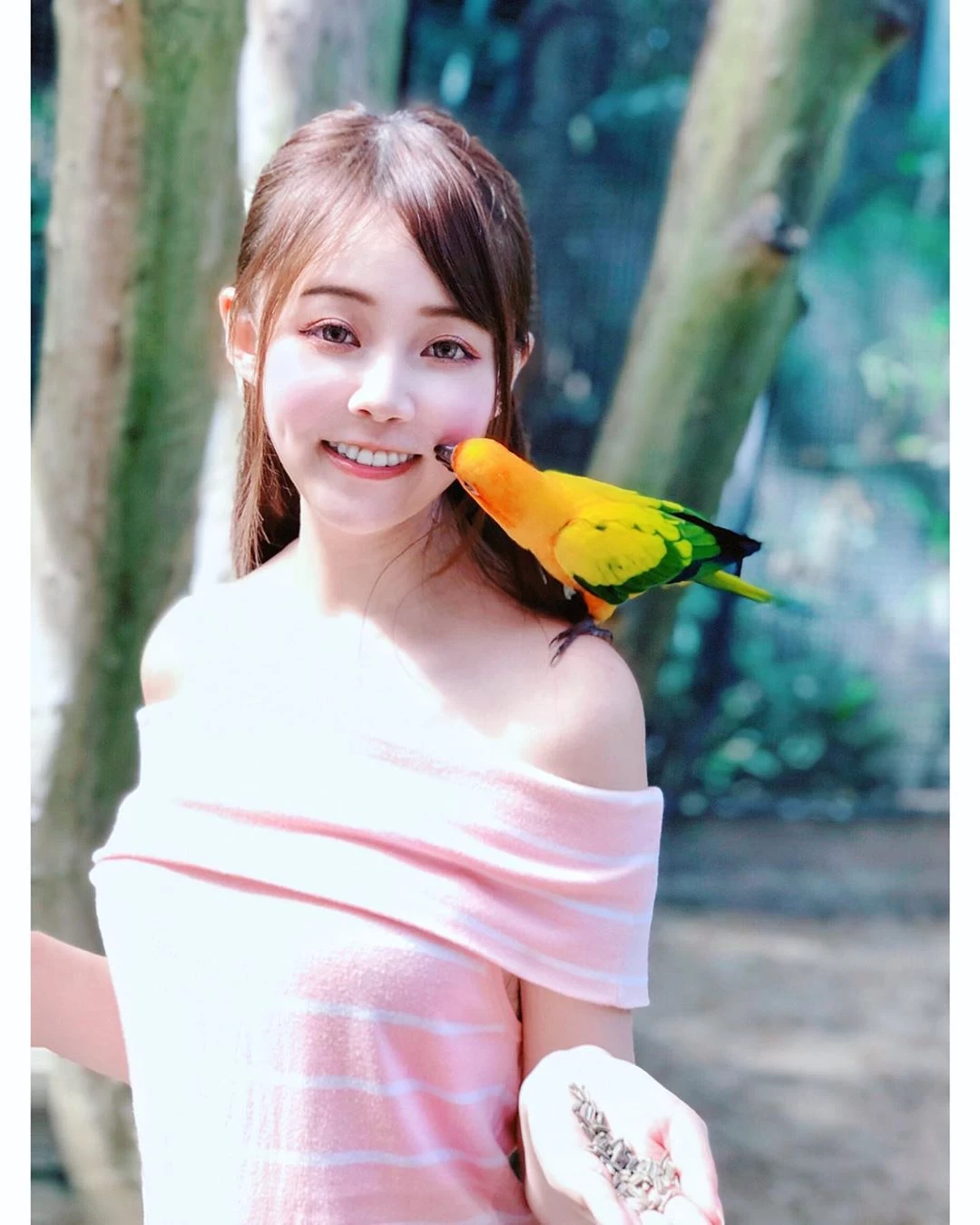4047133.webp