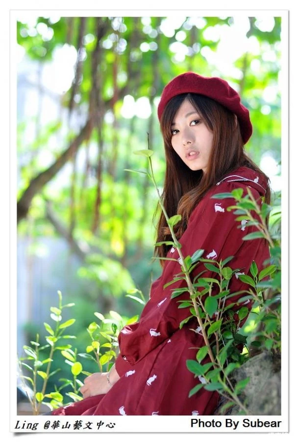 17364995.webp