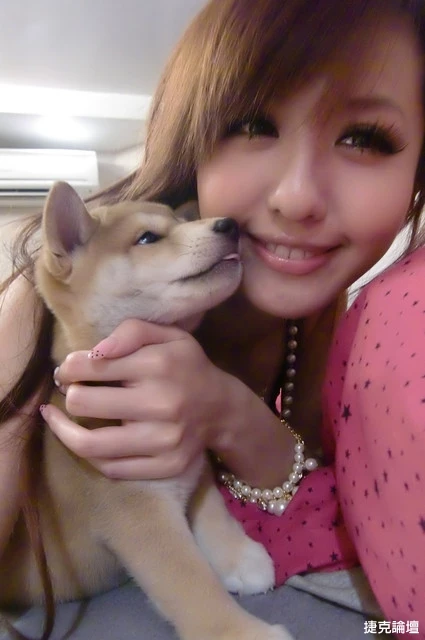 17350766.webp