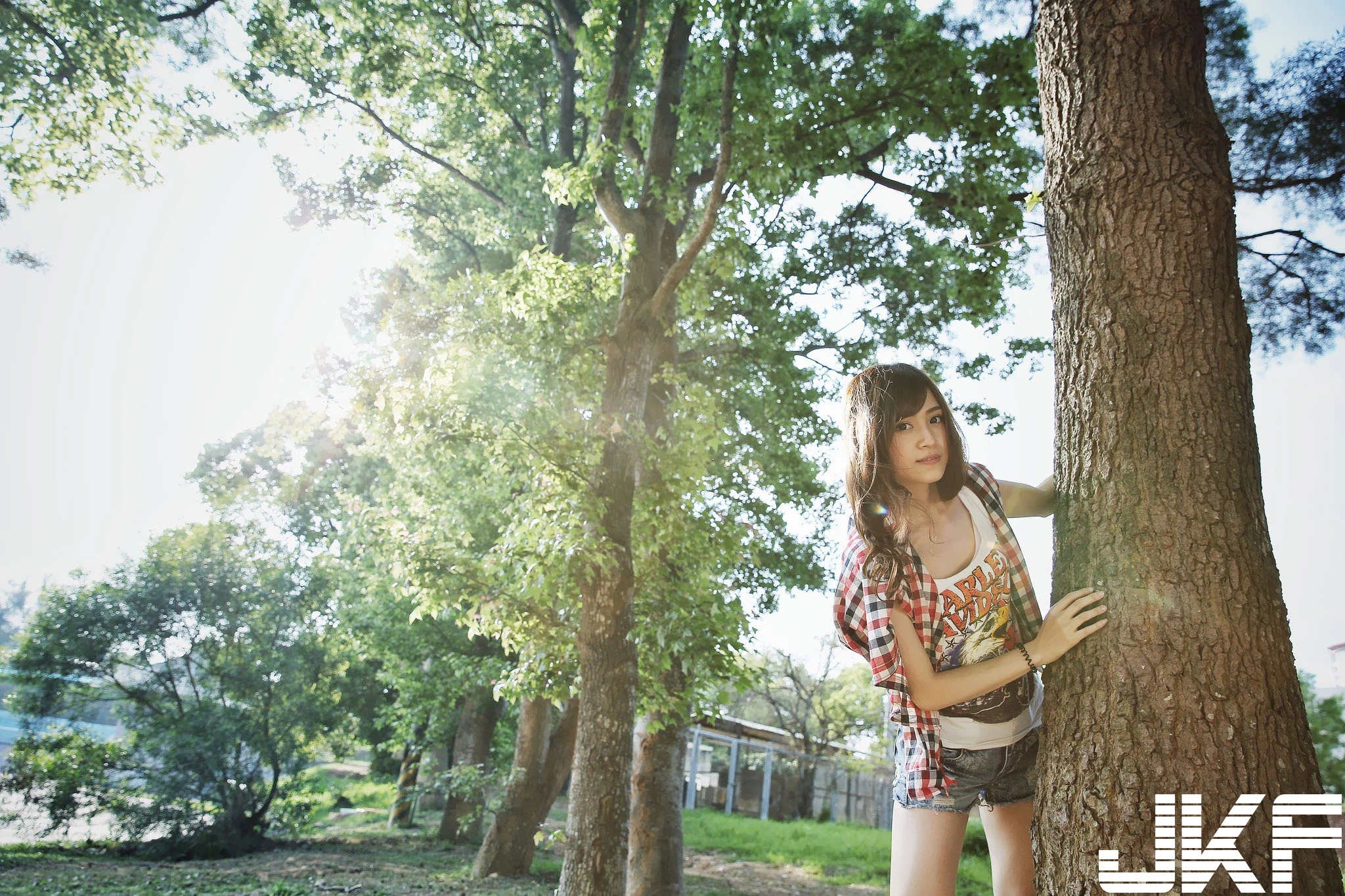 16843700.webp