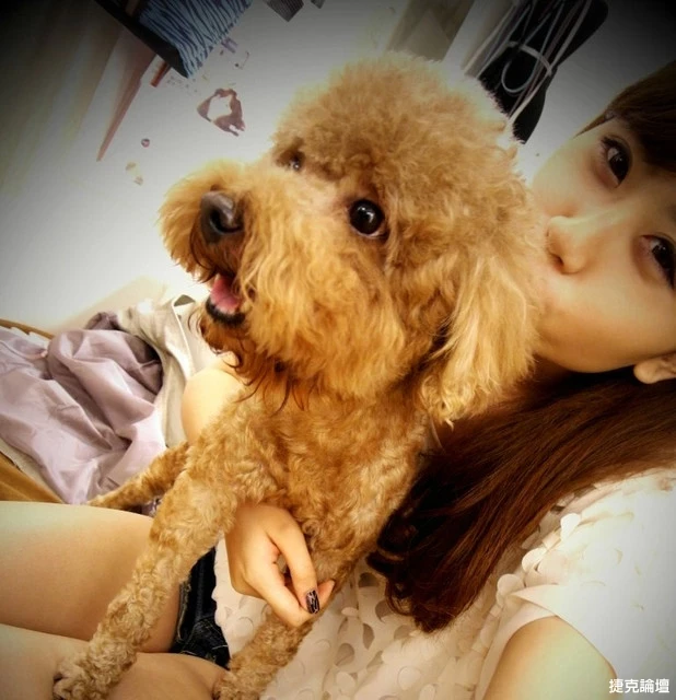 17355562.webp