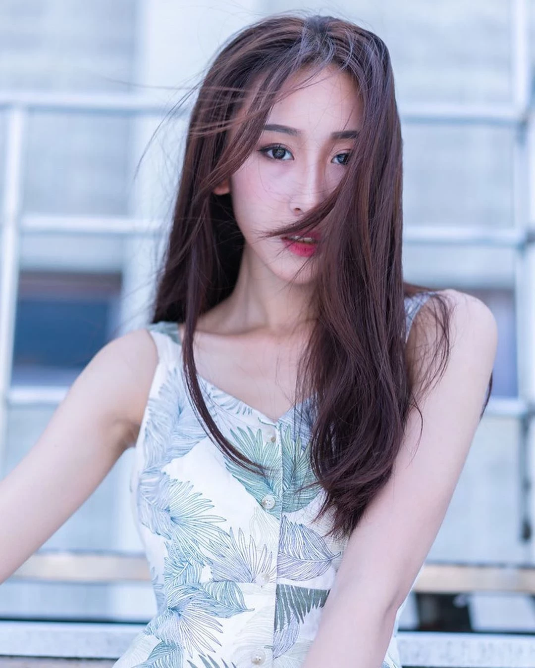 4047123.webp