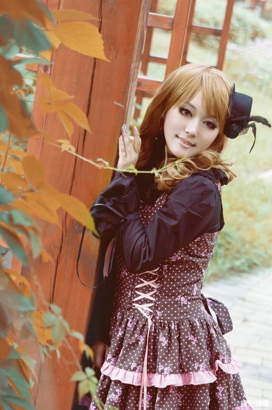17422228.webp