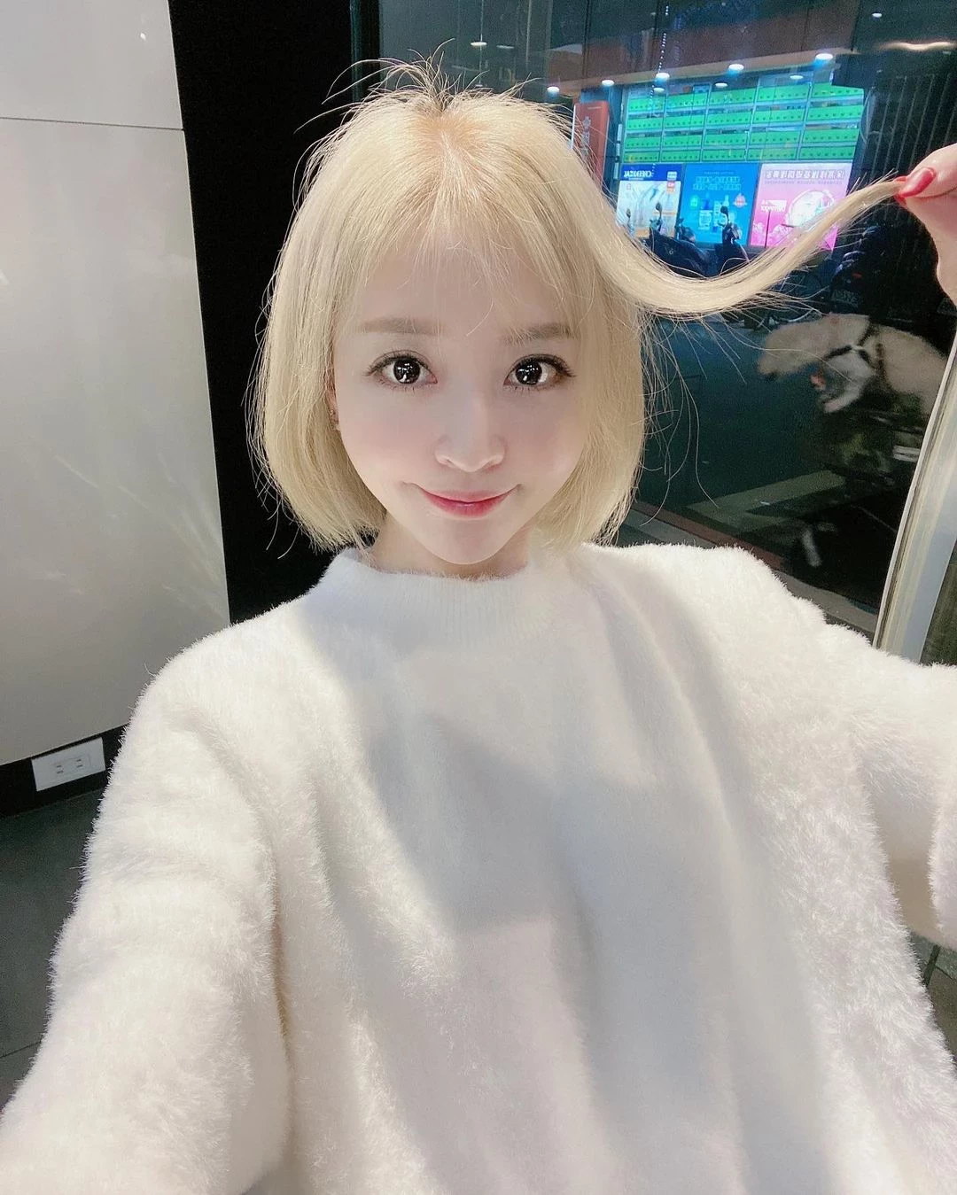 19541365.webp