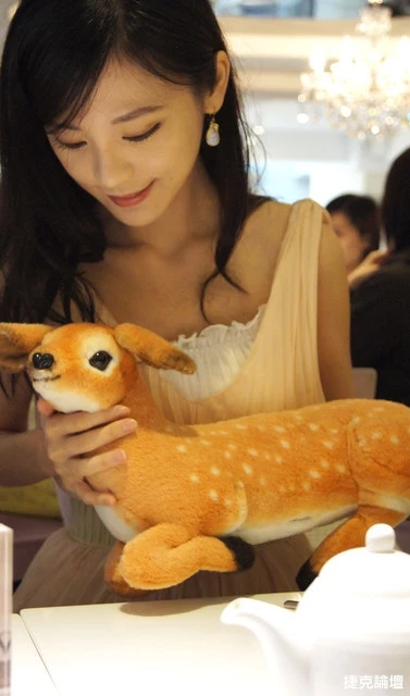 17538054.webp