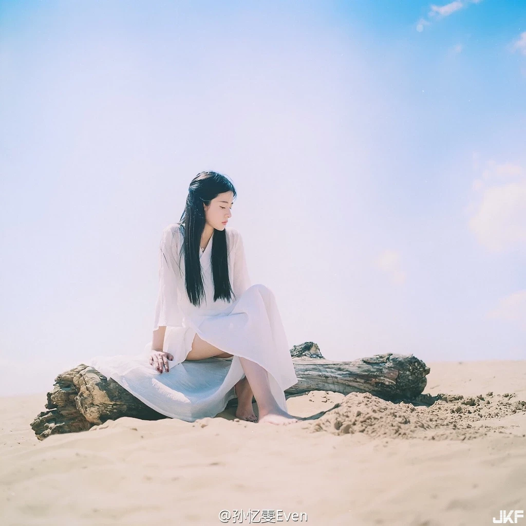 16866179.webp