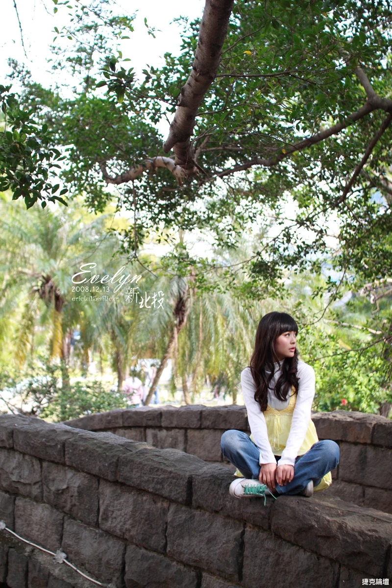 17516394.webp