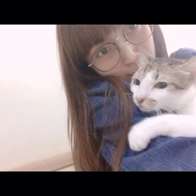 4138943.webp