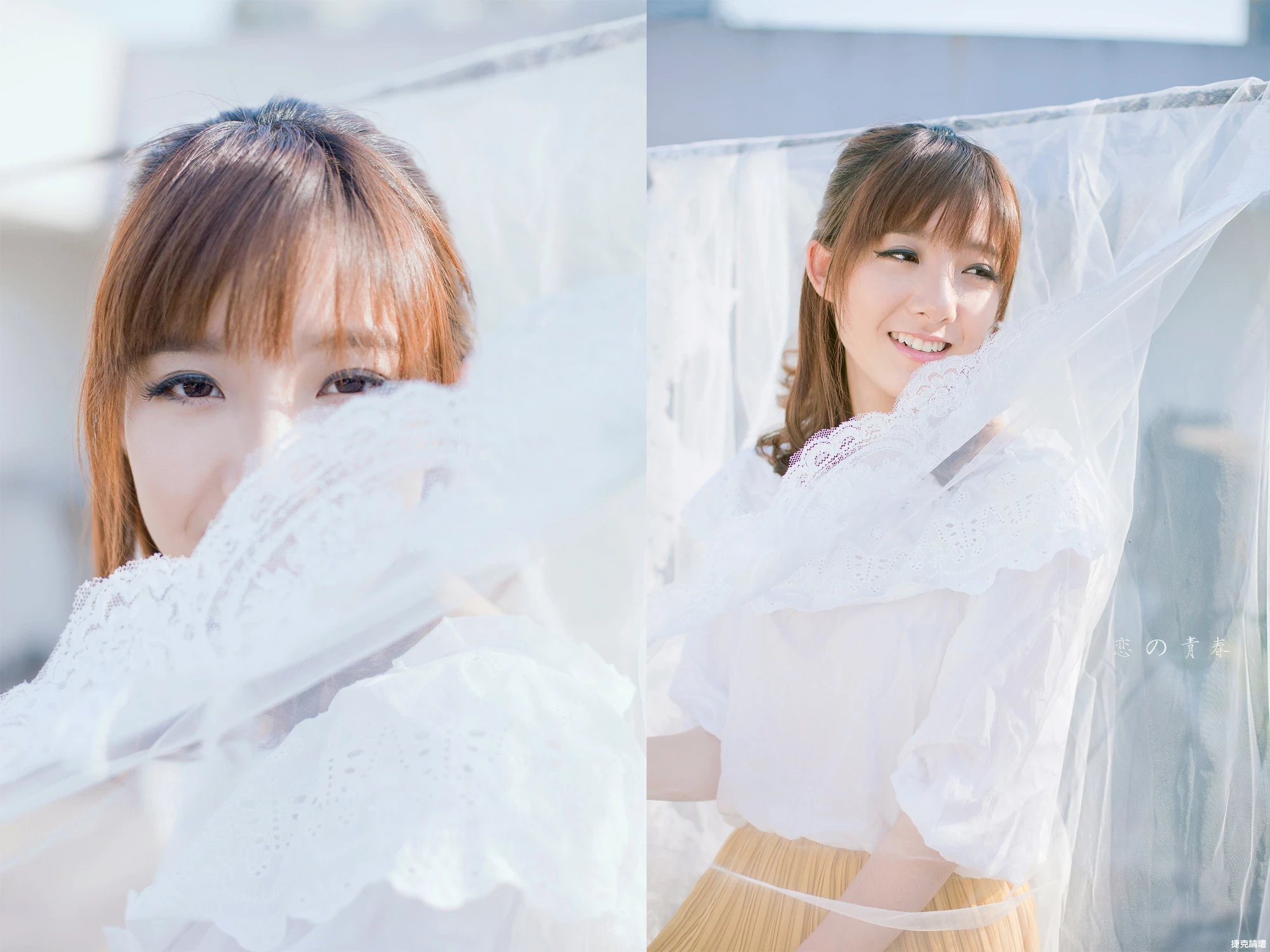 17281941.webp