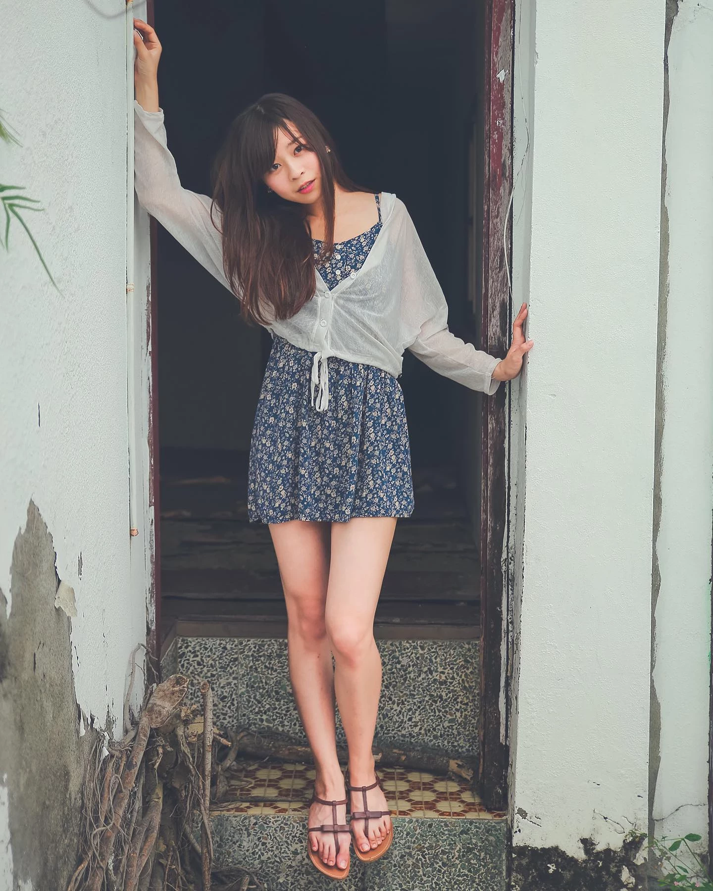 21984711.webp