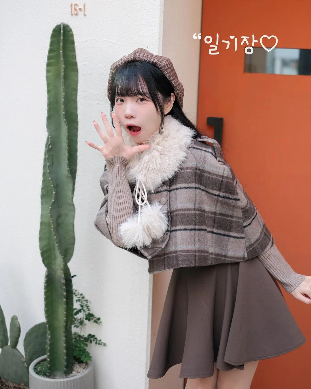 31091568.webp