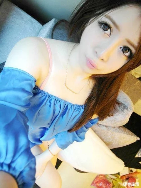 17324256.webp
