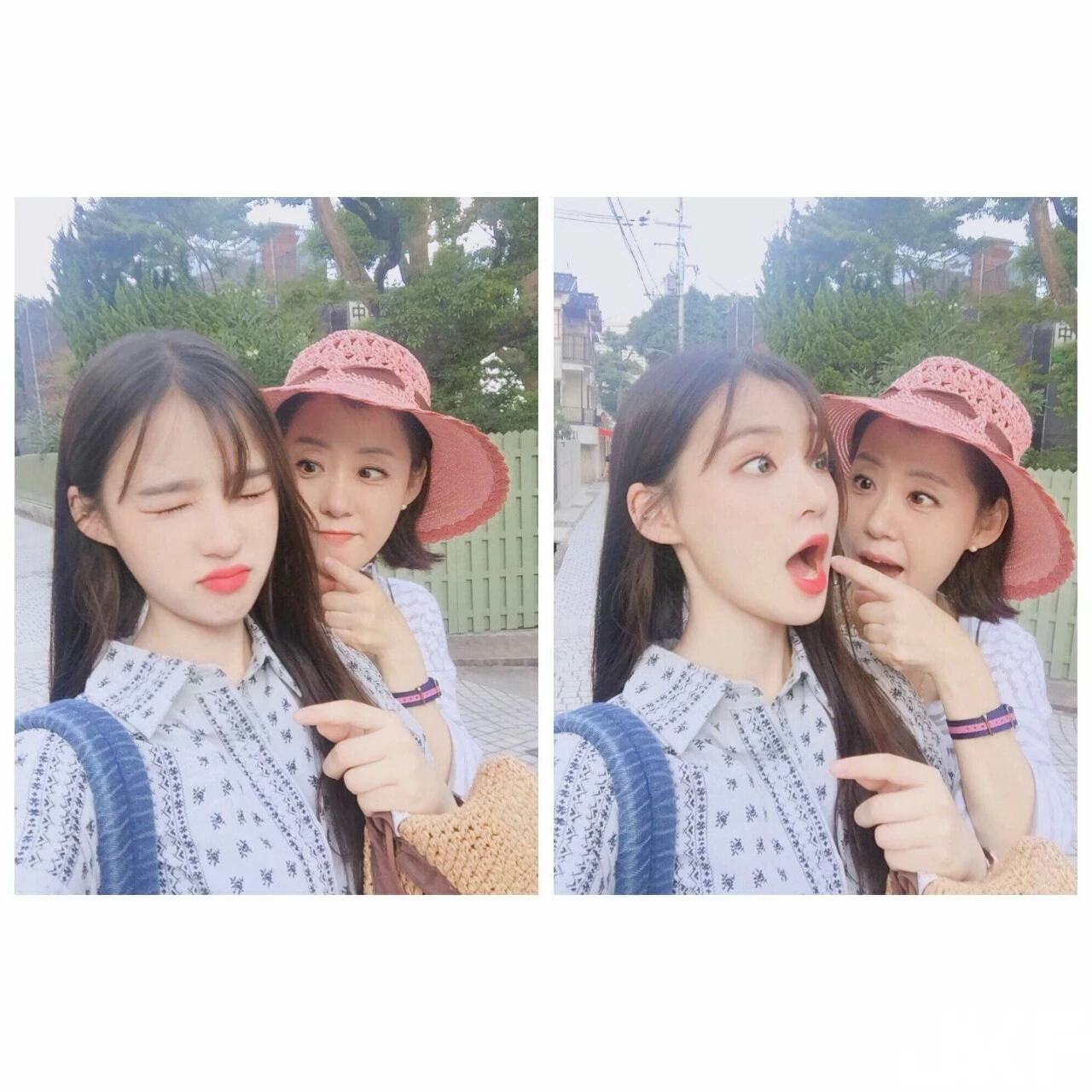 16837173.webp