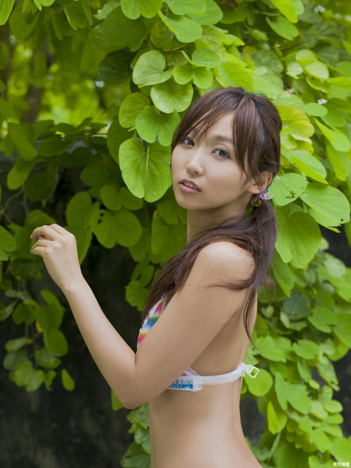 17516271.webp