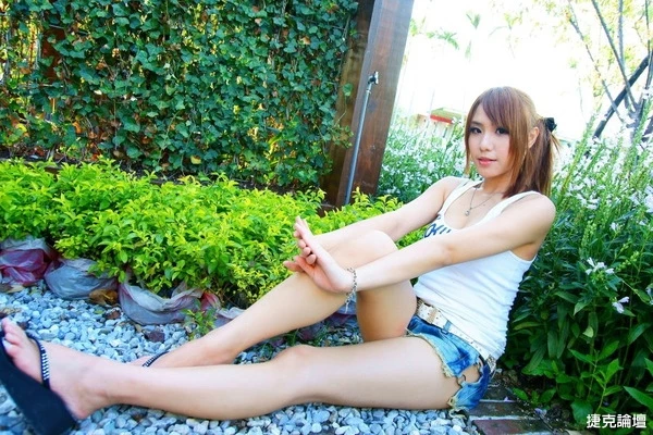 17564204.webp