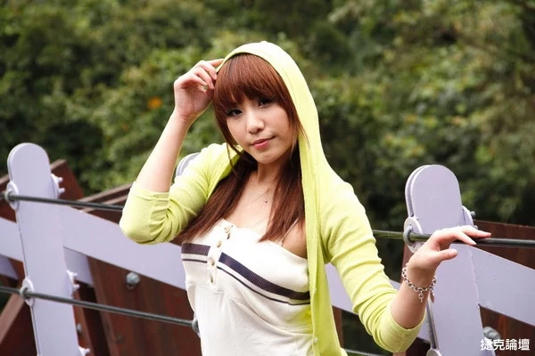 17564275.webp
