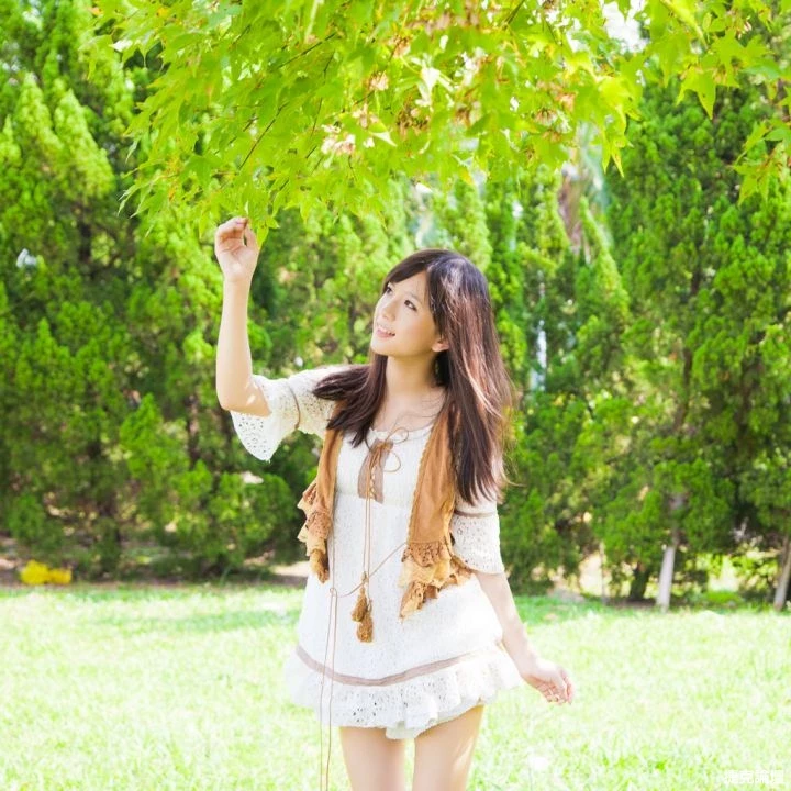17355718.webp