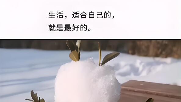 QQ截图20241204083216.jpg