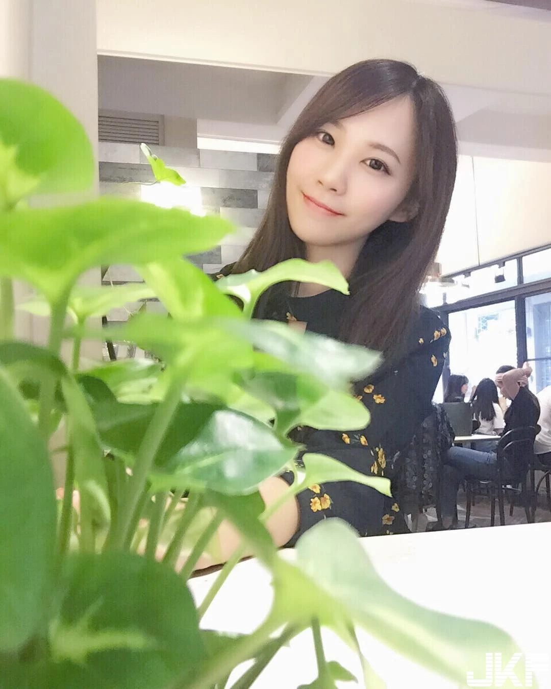 7224752.webp