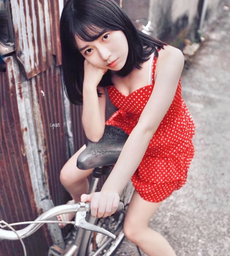 4084817.webp