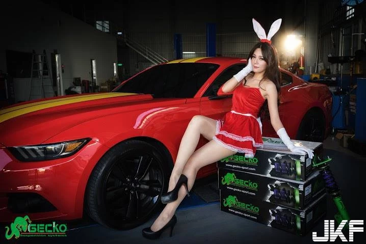 16819487.webp