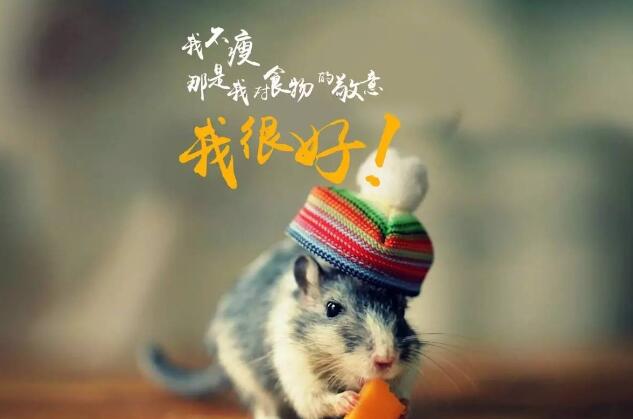 QQ截图20241207090059.jpg