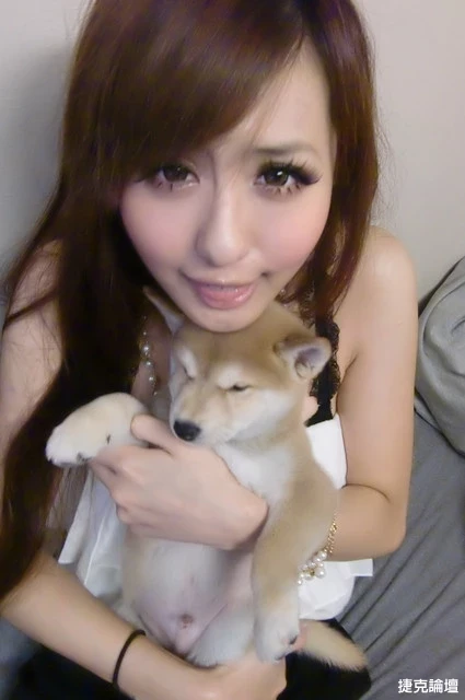 17350758.webp