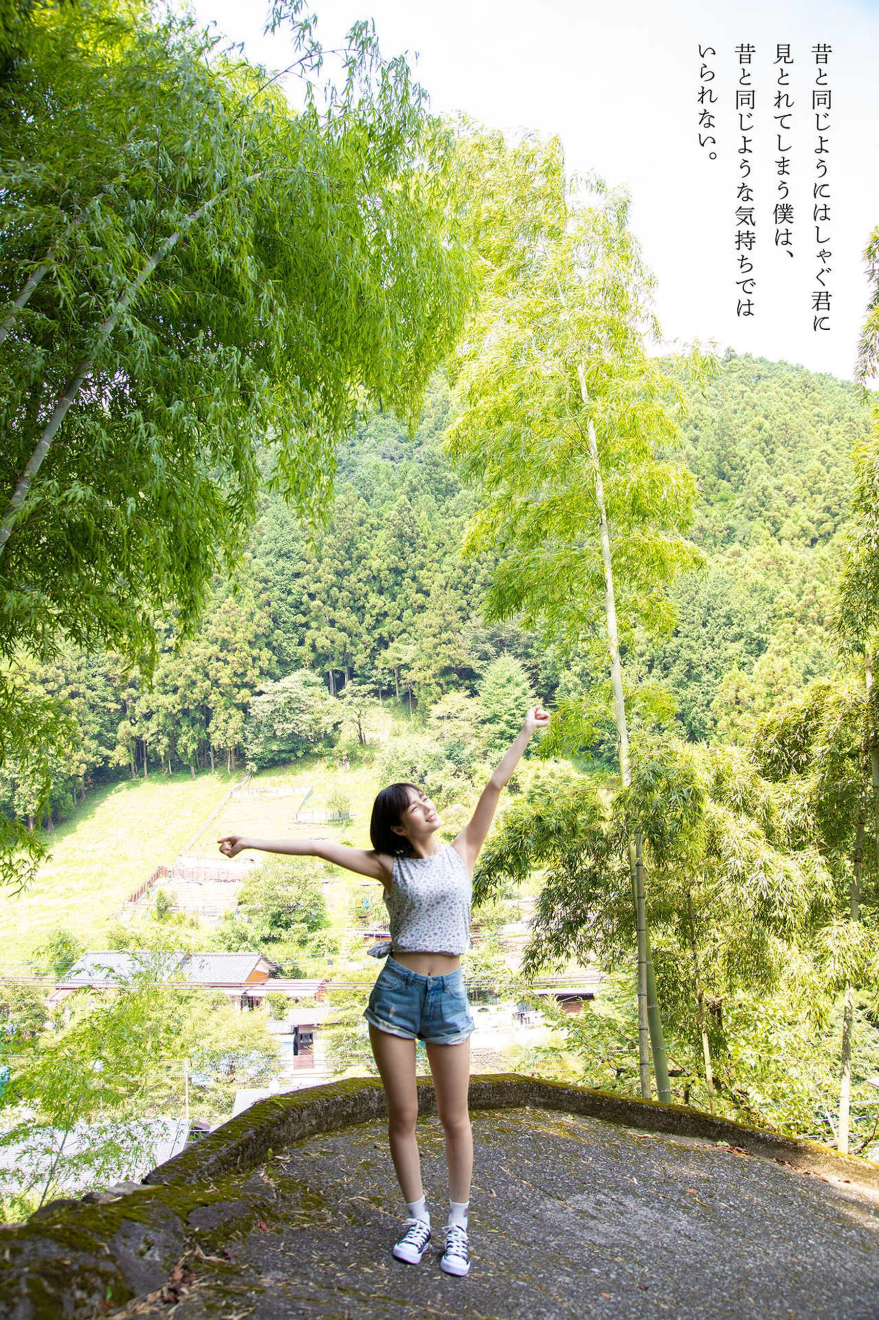 31369177.webp