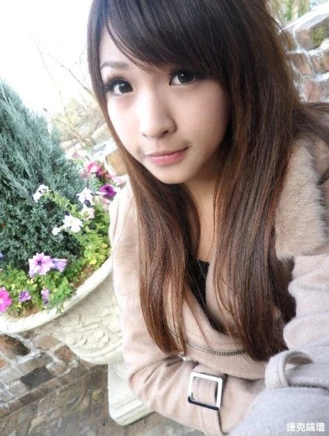 17306595.webp
