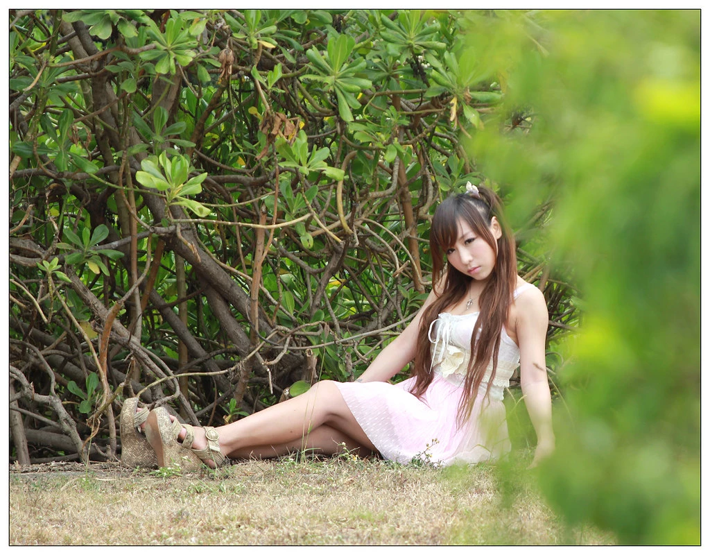 17498343.webp