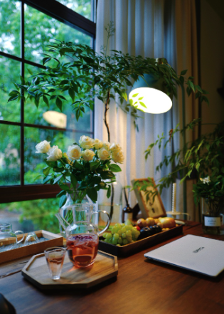 3221ed09-2ea3-457a-adcc-d5978df29db2.png