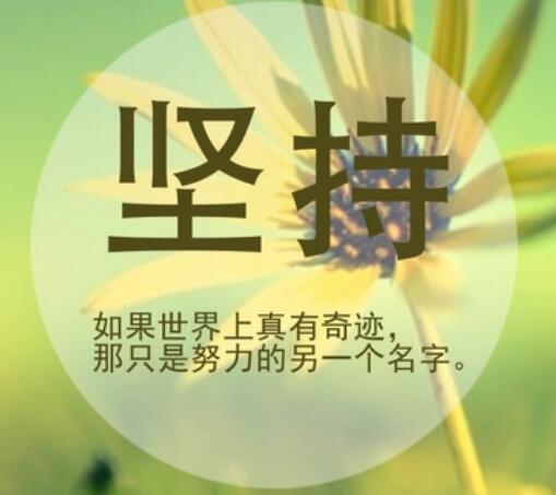 QQ截图20241229204541.jpg