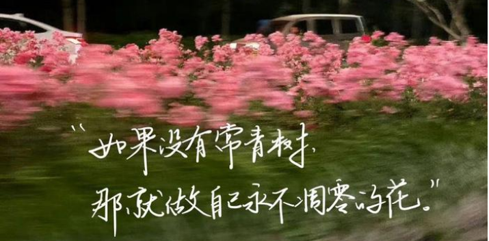 QQ图片20241231152807.png